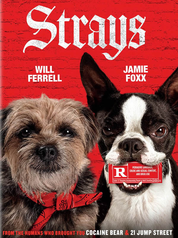 DVD cover of Strays