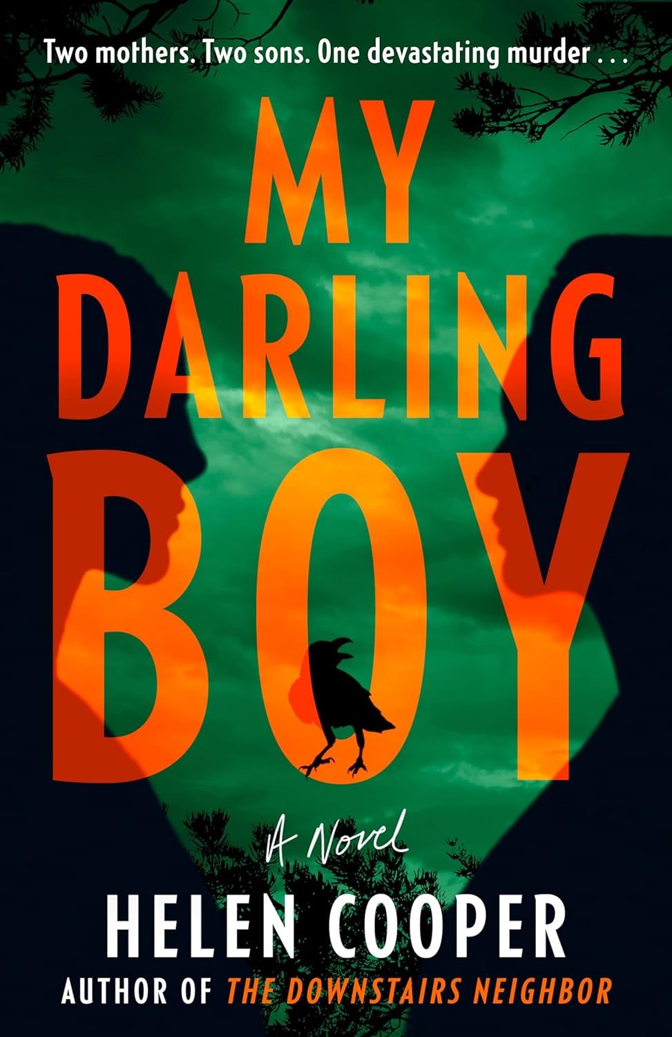 Cover of My Darling Boy