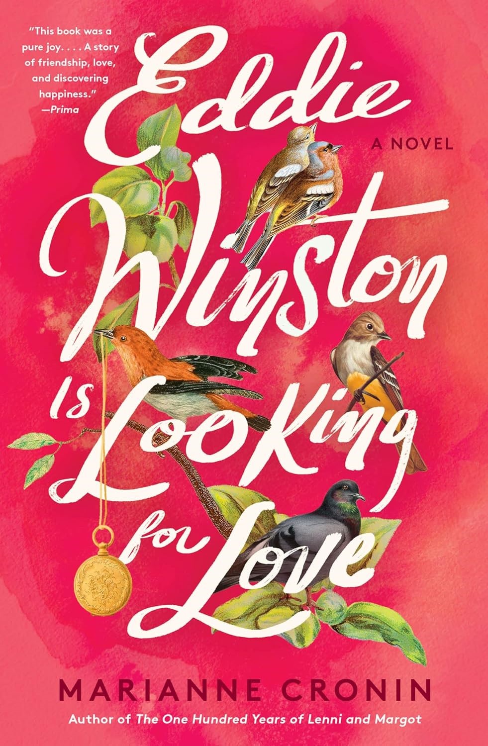 Cover of Eddie Winston is Looking for Love: A Novel