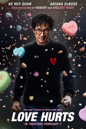 DVD cover of Love Hurts