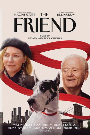 DVD cover of The Friend.