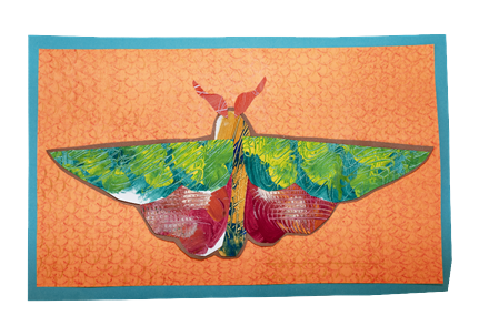 Asher's Magic Moth